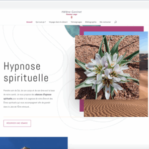 Site web vitrine 3 à 5 pages